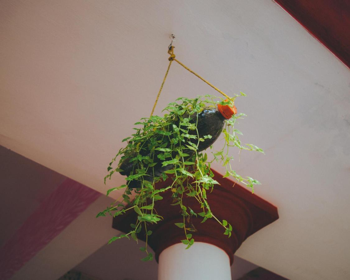 Hostelexp, Varkala - A Beach Town Hostel ภายนอก รูปภาพ