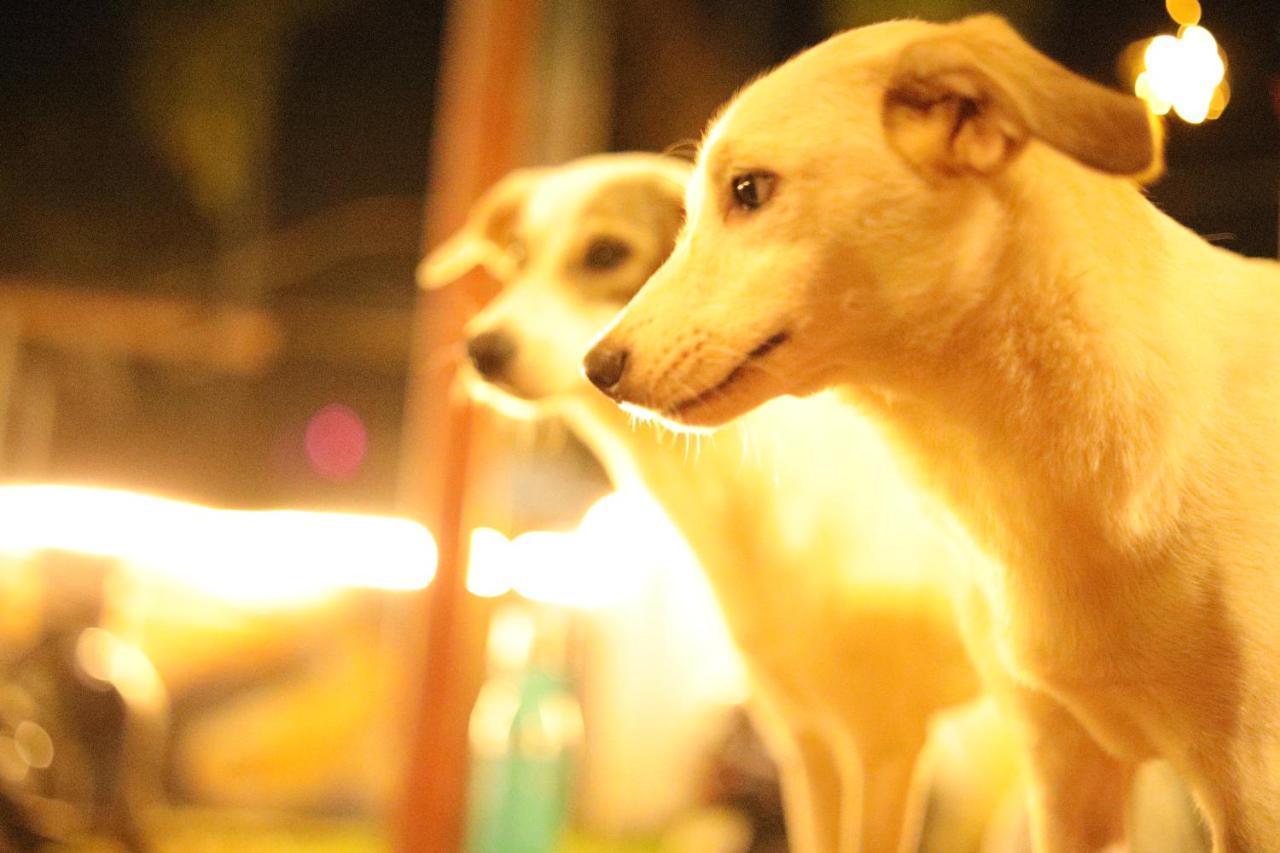 Hostelexp, Varkala - A Beach Town Hostel ภายนอก รูปภาพ